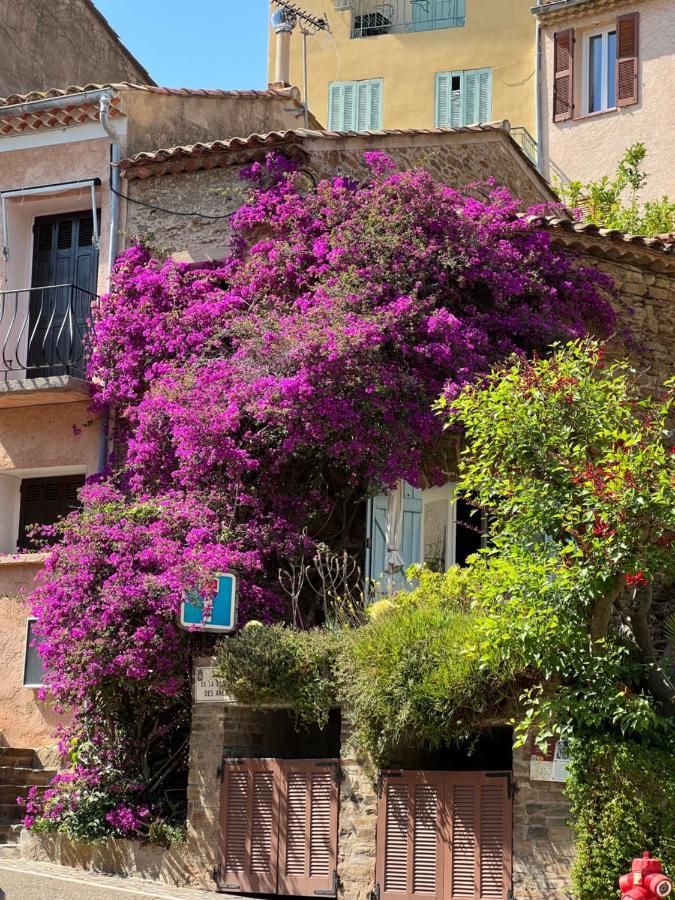 Maison De Vacances Medievale Bormes-Les-Mimosas Village Экстерьер фото