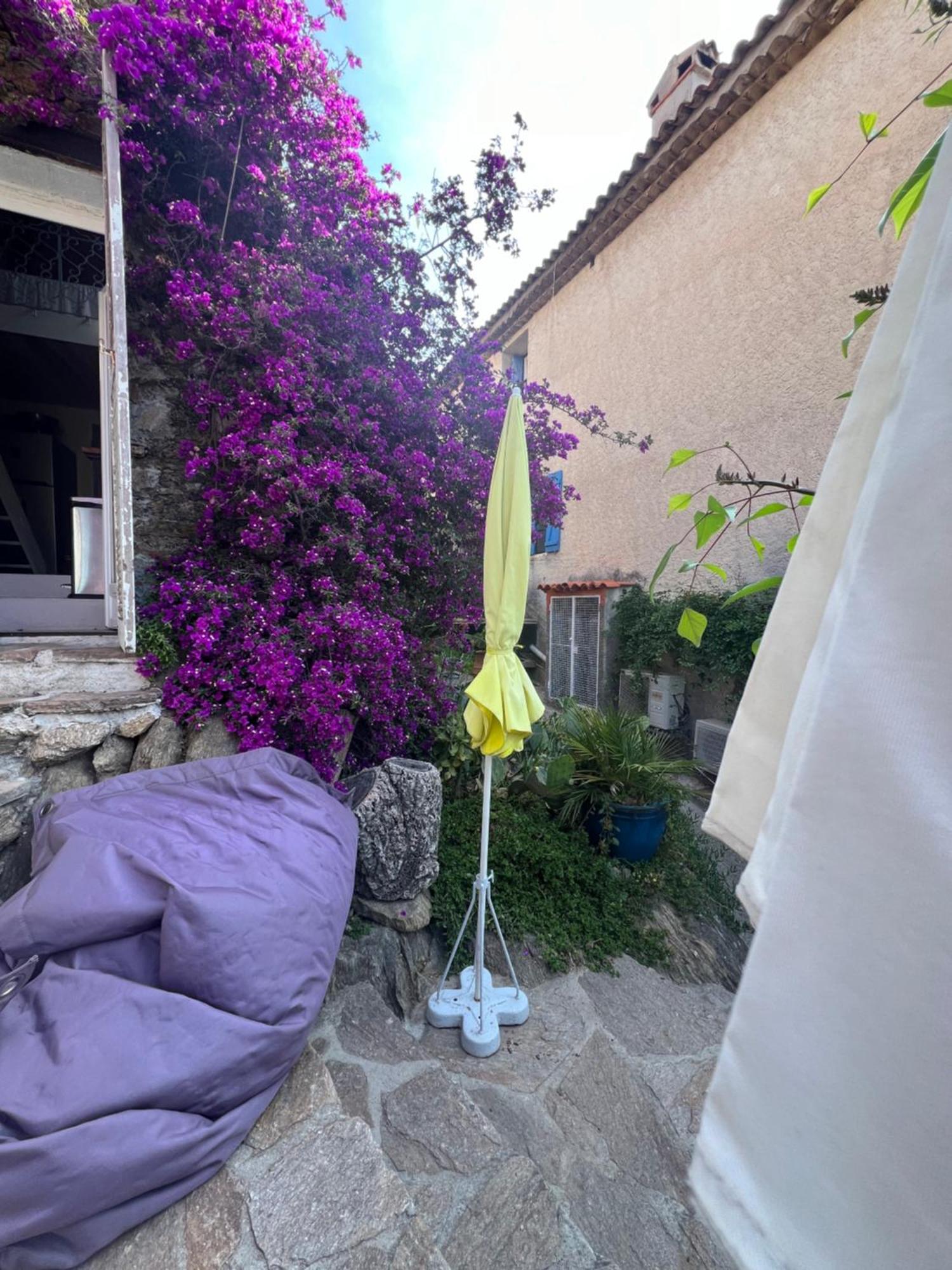Maison De Vacances Medievale Bormes-Les-Mimosas Village Экстерьер фото